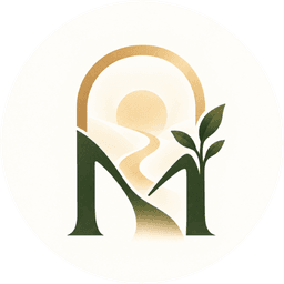 Mirror app icon